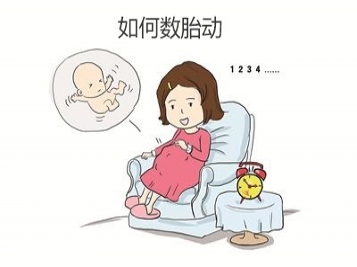 胎兒好不好，胎動(dòng)全知道，數(shù)胎動(dòng)的重要性